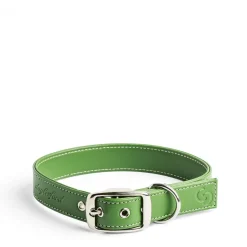 Flash Sale Daylesford Organic Apple Leather Collar Green