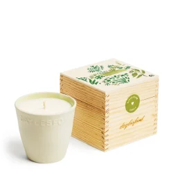 Clearance Daylesford Organic Limited Edition Geranium Botanic Candle