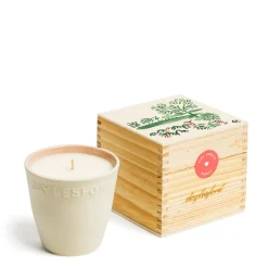 Online Daylesford Organic Limited Edition Vine Tomato Botanic Candle