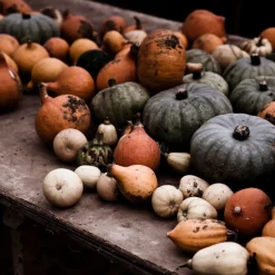 Best Daylesford Organic Market Garden Mixed Squash