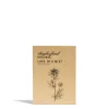 Store Daylesford Organic Nigella Seeds