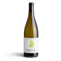 Sale Daylesford Organic Organic Chablis
