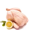 Shop Daylesford Organic Organic Whole Chicken