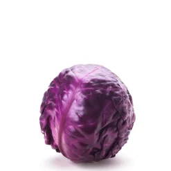 Flash Sale Daylesford Organic Red Cabbage