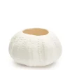 Sale Daylesford Organic Urchin bowl